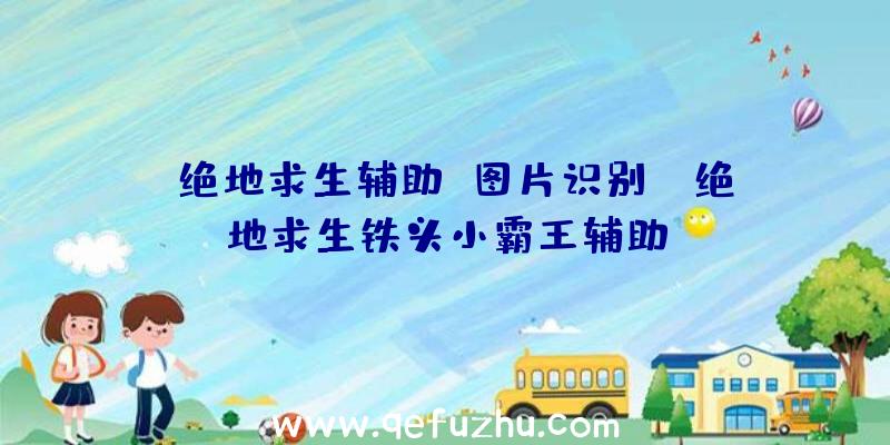 「绝地求生辅助